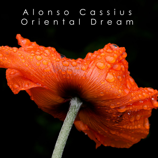 Alonso Cassius