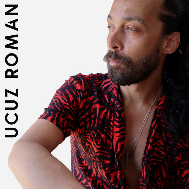 Ucuz Roman cover