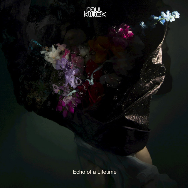 Echo of a Lifetime cover art