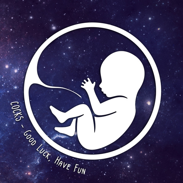 Good Luck, Have Fun cover art