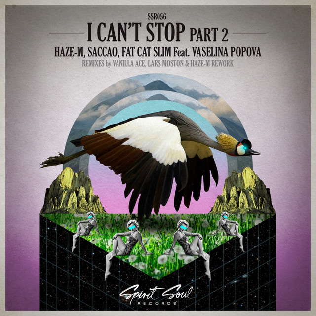 I Can't Stop, Pt. 2 cover art