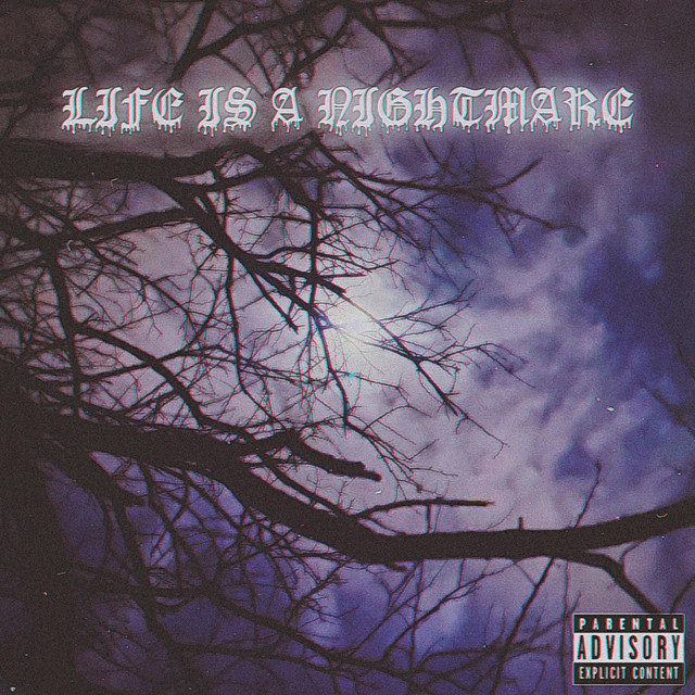 LIFE IS A NIGHTMARE cover art