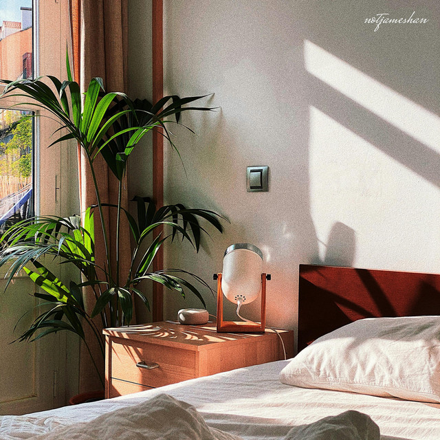 I Just Woke Up cover