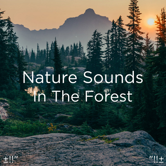 Nature Sounds In The Forest - Album by Yoga | Spotify