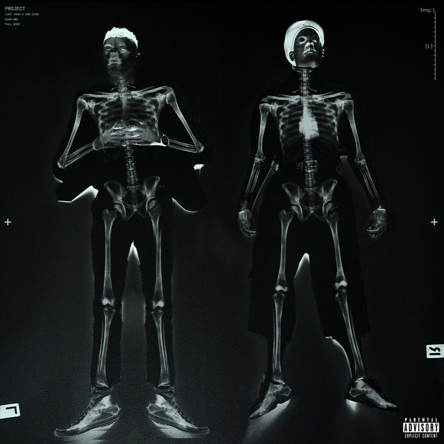 PROJECT cover art