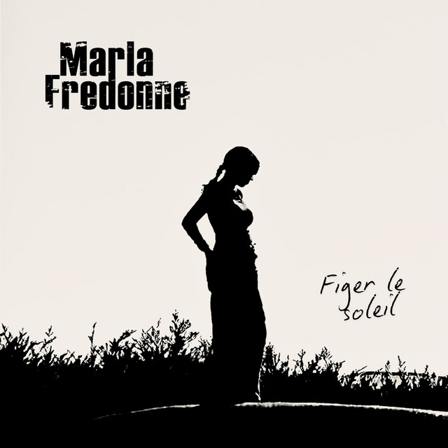 Cover du titre Figer le soleil