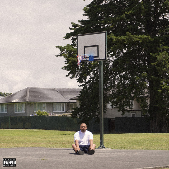 THE LAY UP cover art