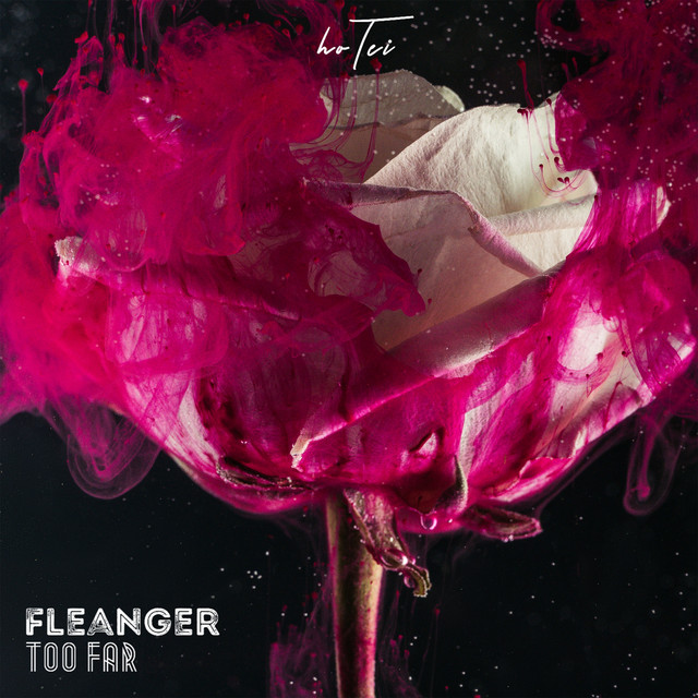 Обкладинка: Too Far — Fleanger