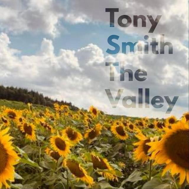 The Valley cover art
