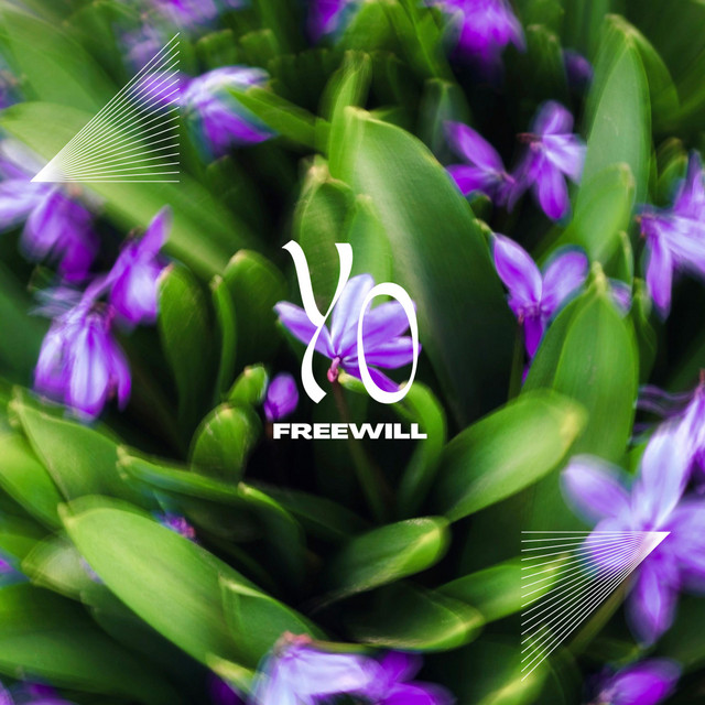Yo