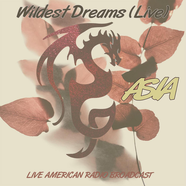 Wildest Dreams - Live American Radio Broadcast cover art