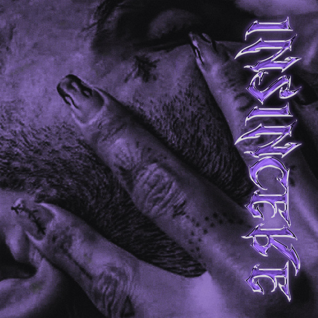 Insincere cover art