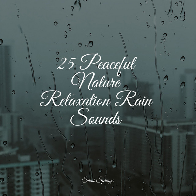 25 Peaceful Nature Relaxation Rain Sounds - Album by Soothing Chill Out ...