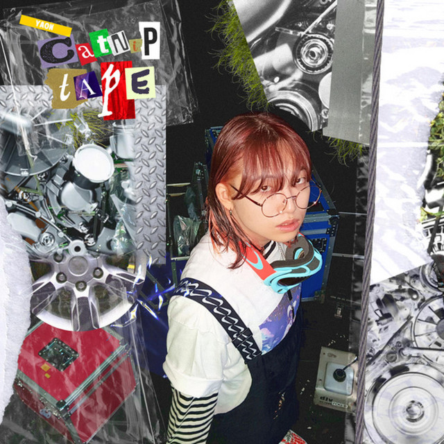 Catnip tape cover art