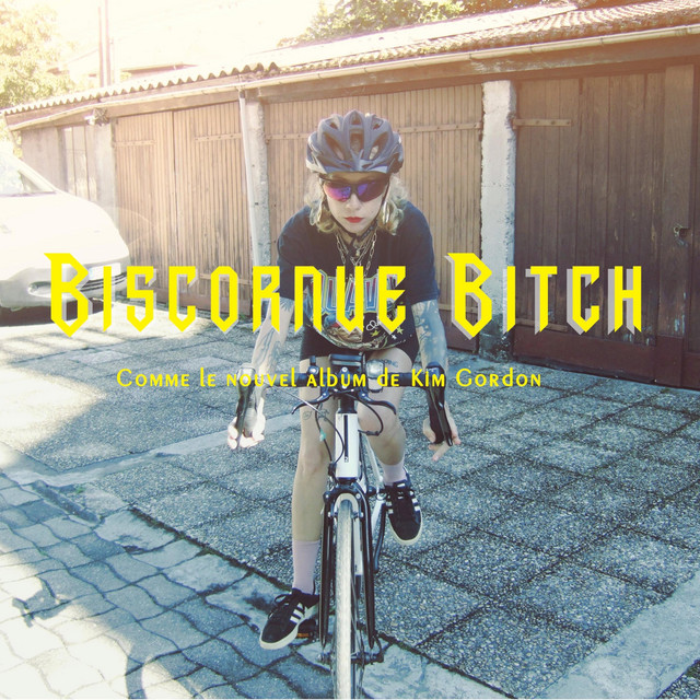Biscornue Bitch