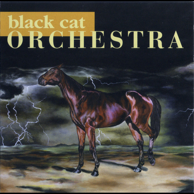 Black Cat Orchestra cover art