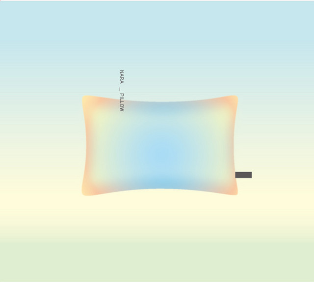 Pillow cover art