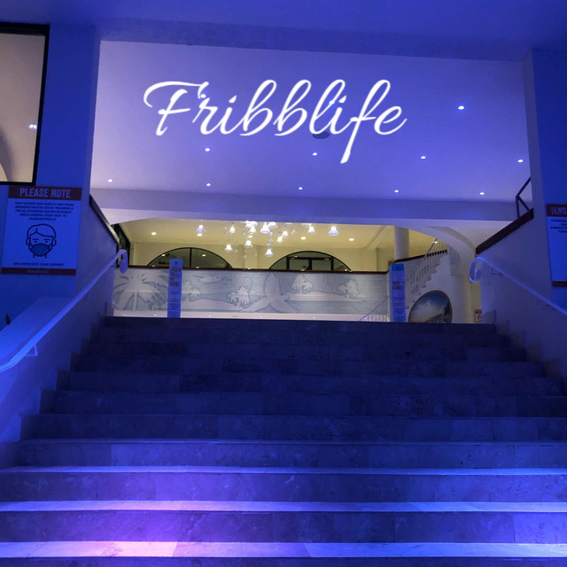 Fribblife cover art