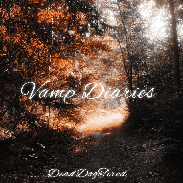 Cover art for DeadDogTired — Vamp Diaries