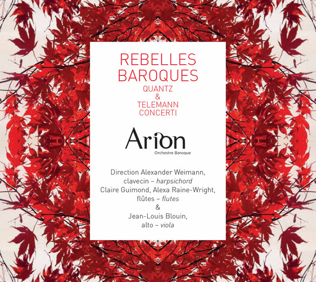 Rebelles baroques cover art