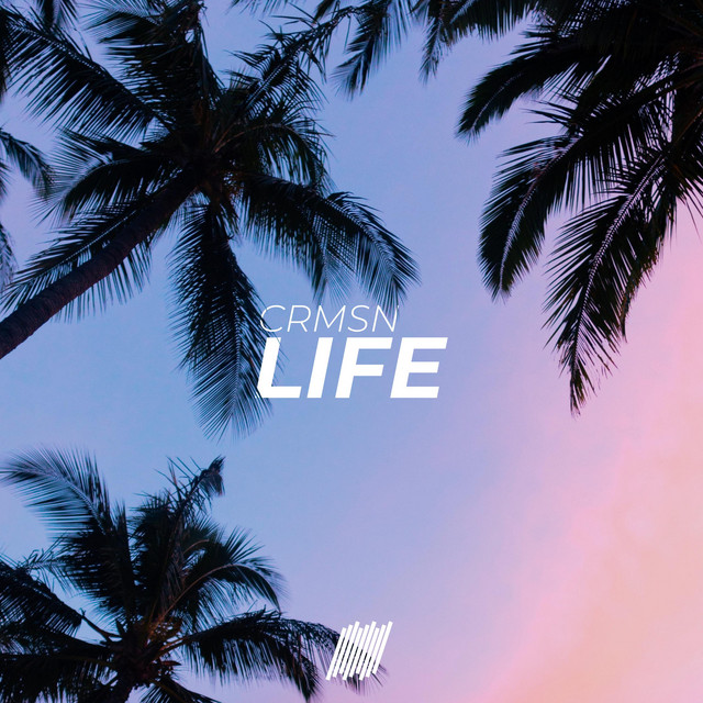 Life cover art