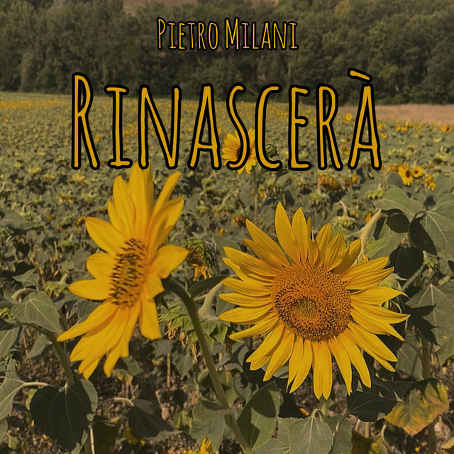 Rinascerà cover art