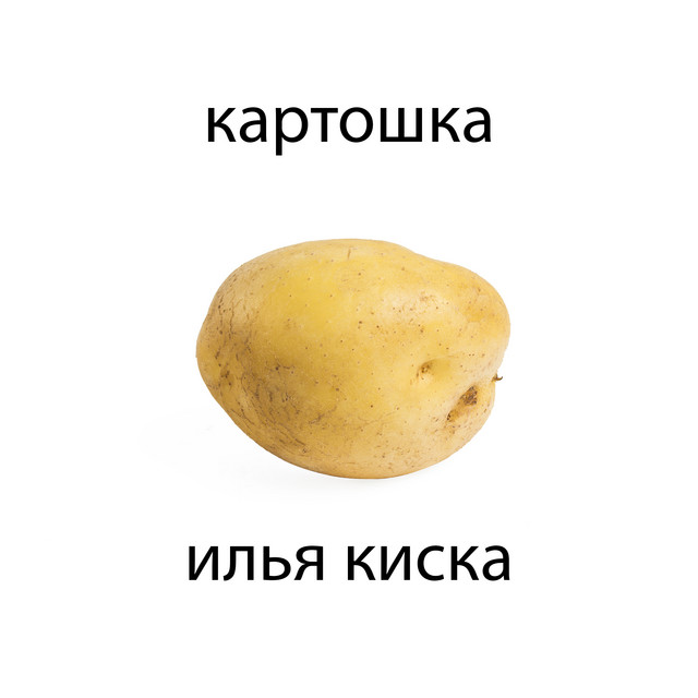 илья киска