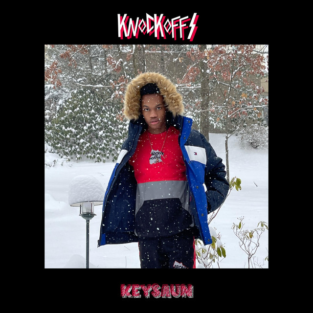 Knockoffs cover art