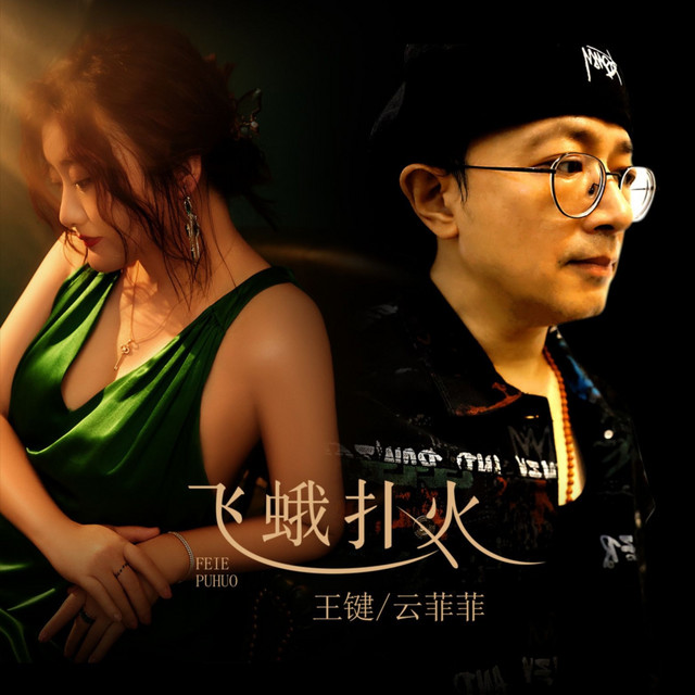 飞蛾扑火 album image