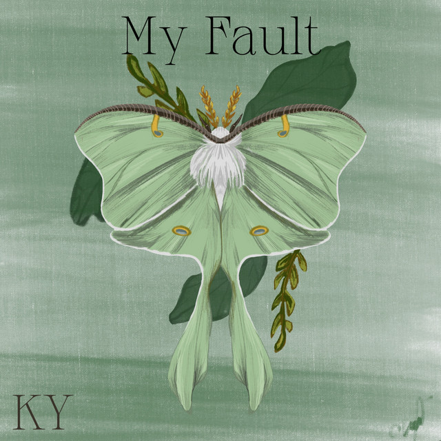 My Fault (Instrumental) cover art