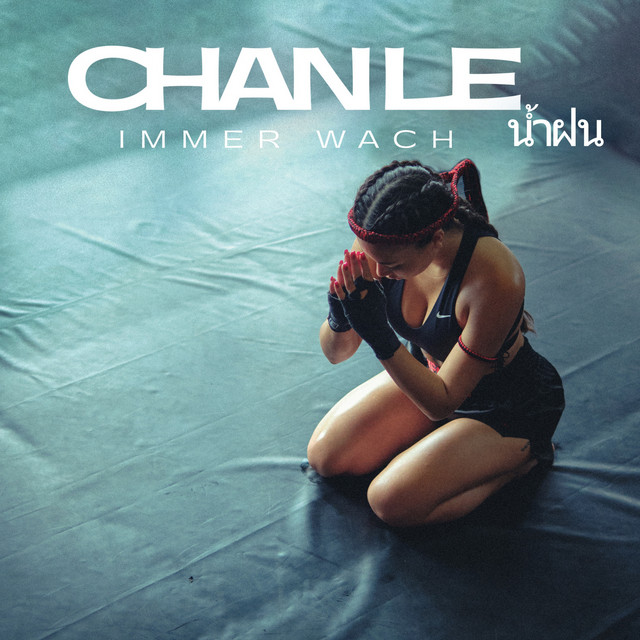 Immer wach cover art