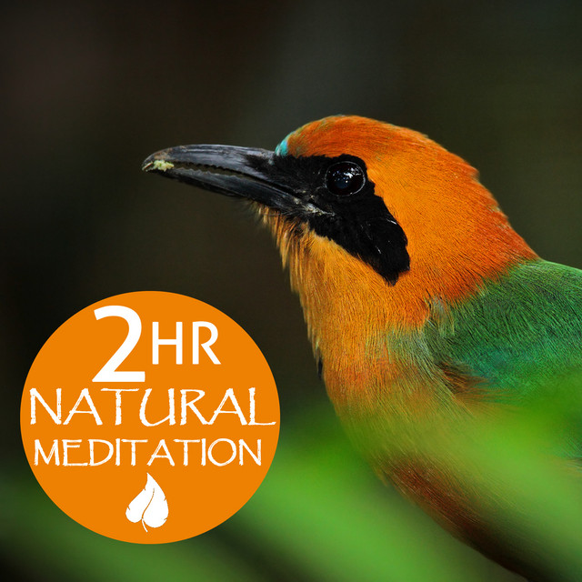 Earth Day 2 Hour Natural Meditation: Relaxing Music for Meditation & Yoga cover art