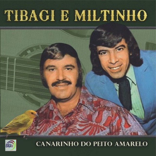Canarinho do Peito Amarelo cover art