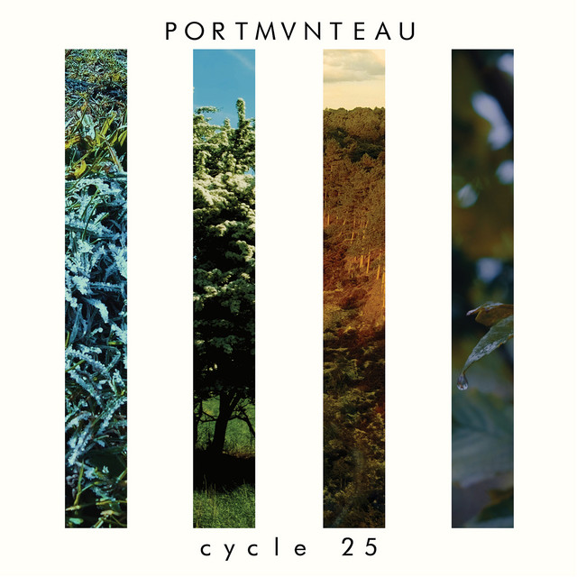 Cycle 25