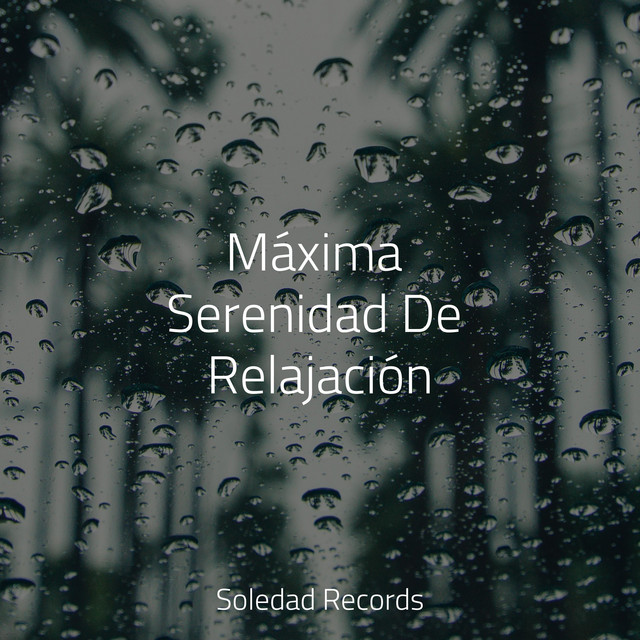Máxima Serenidad De Relajación cover art