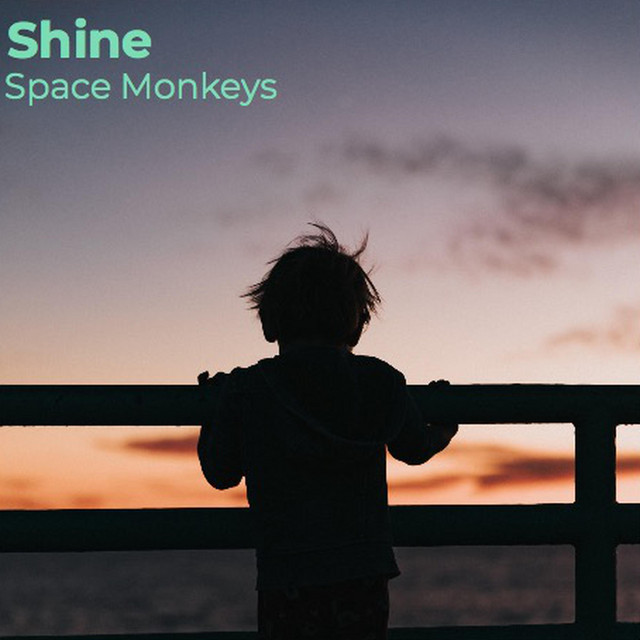 Shine - Single by Space Monkeys | Spotify