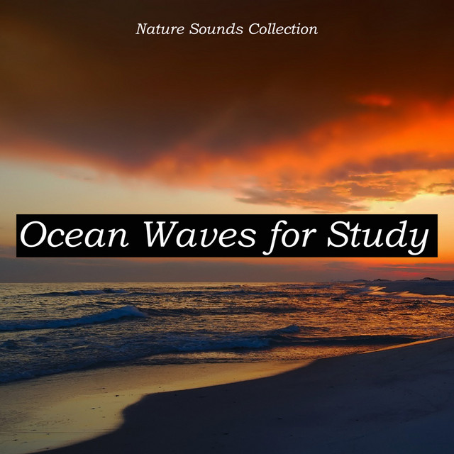 Nature Sounds Collection Ocean Waves for Study cover art