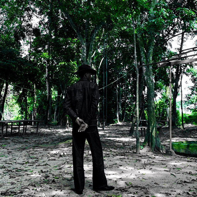 IN or OUT cover art