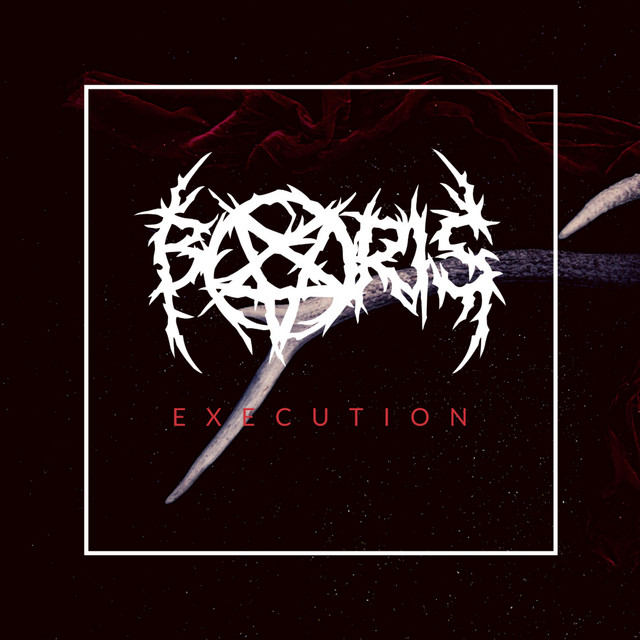 Execution cover art