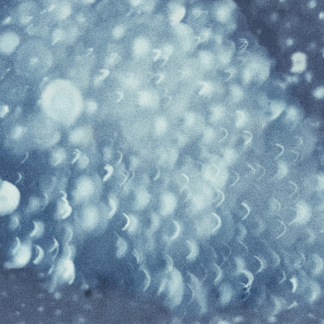 Swells cover art