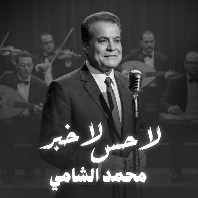 لا حس لا خبر - محمد الشامي