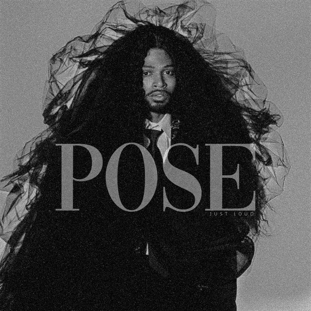 Pose cover art