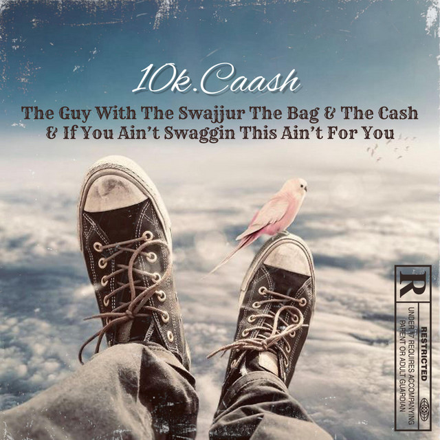 The Guy With The Swajjur The Bag & The Cash & If You Ain’t Swaggin This Ain’t For You . cover art