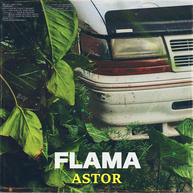 Flama cover art
