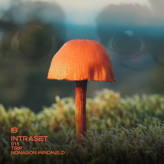 TRIP: Nonagon Mindmeld cover art