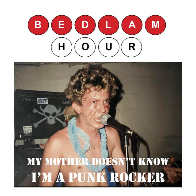 My Mother Doesn't Know I'm a Punk Rocker cover