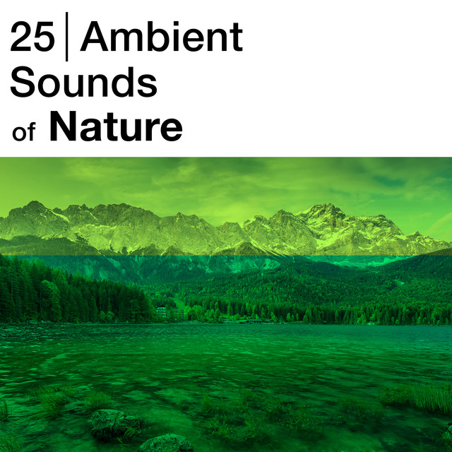 25: Ambient Sounds of Nature - Album by Nature Sound XLE Library | Spotify