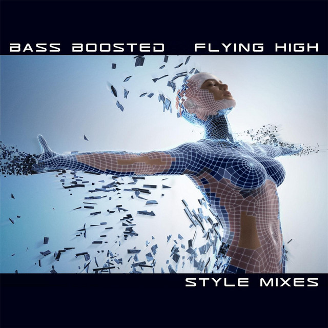 Flying High (Style Mixes) cover art