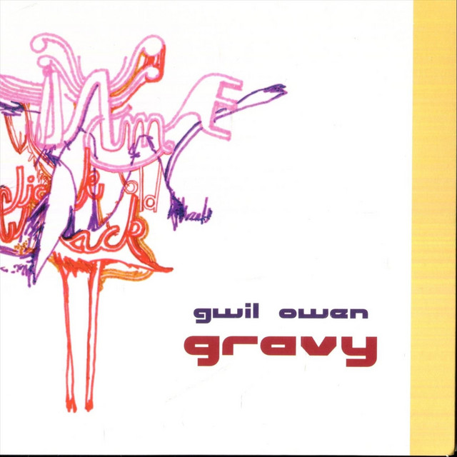 Gravy cover