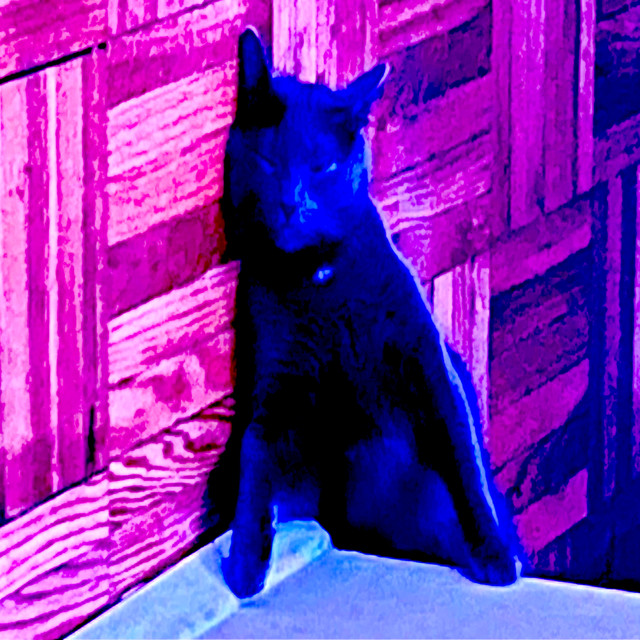 DJ Meow Meow Anthem (Instrumental) cover